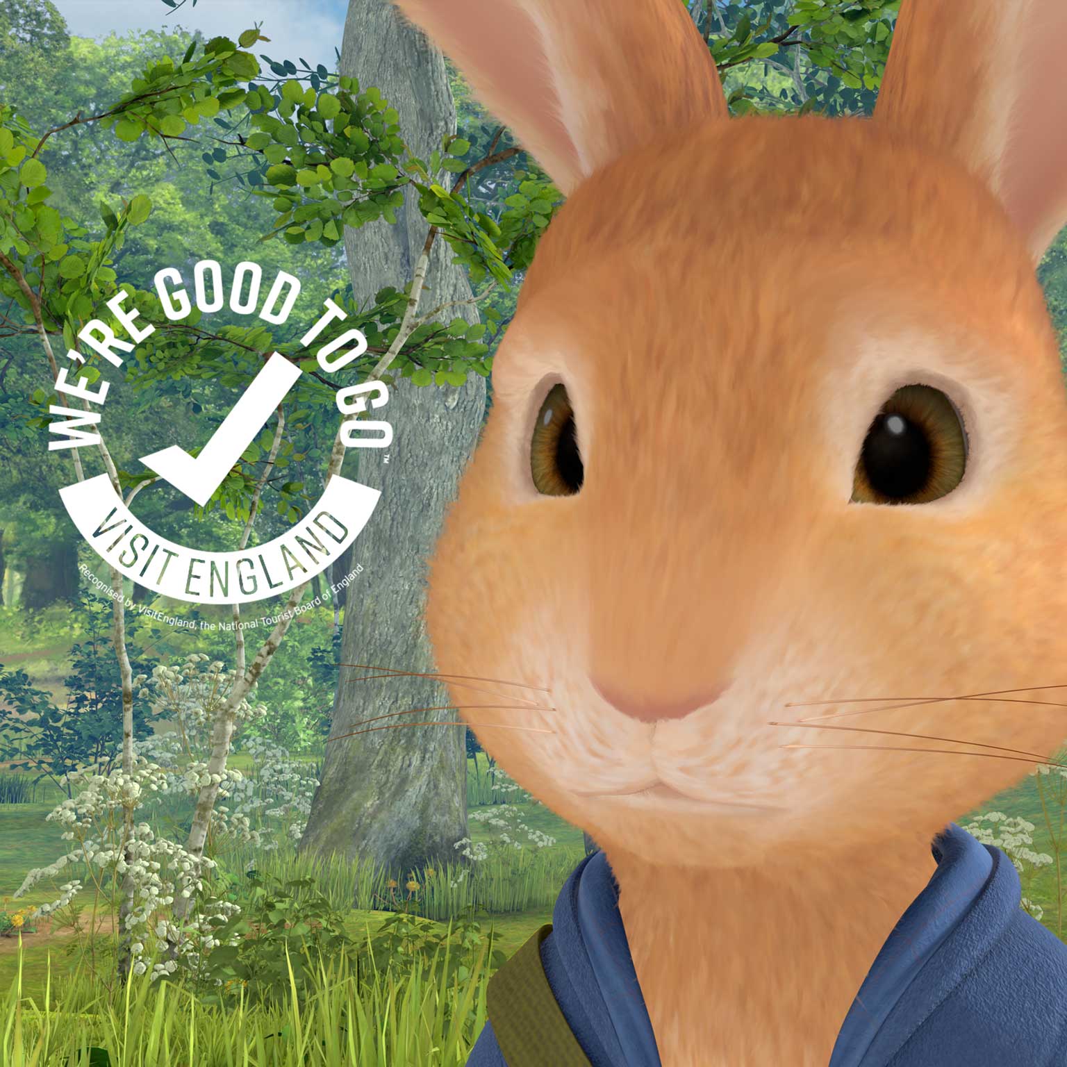 Peter Rabbit Explore and Play Good to Go attraction