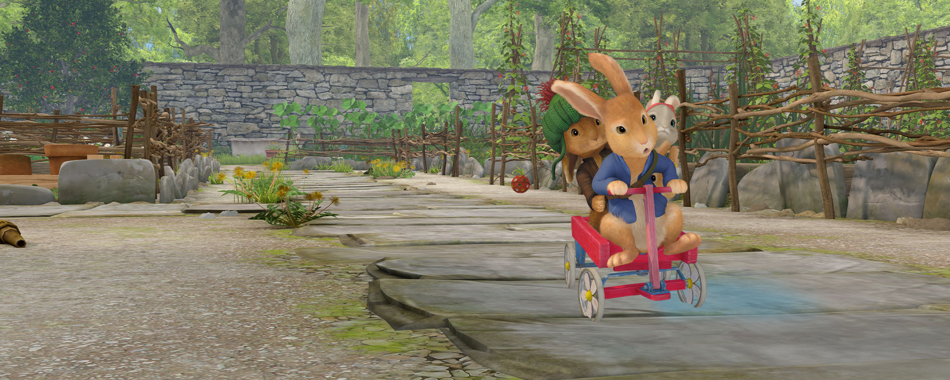 Peter Rabbit riding tricycle