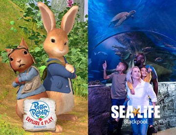 Peter Rabbit + SEA LIFE